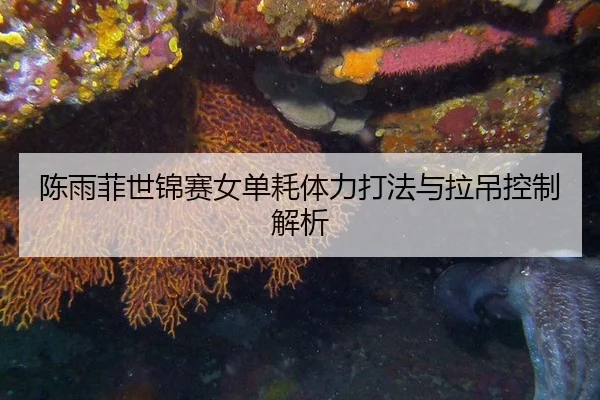 chen-yu-fei-shi-jin-sai-nv-dan-hao-ti-li-da-fa-yu-la-diao-kong-zhi-jie-xi-3-673.jpg