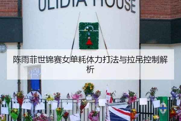 陈雨菲世锦赛女单耗体力打法与拉吊控制解析