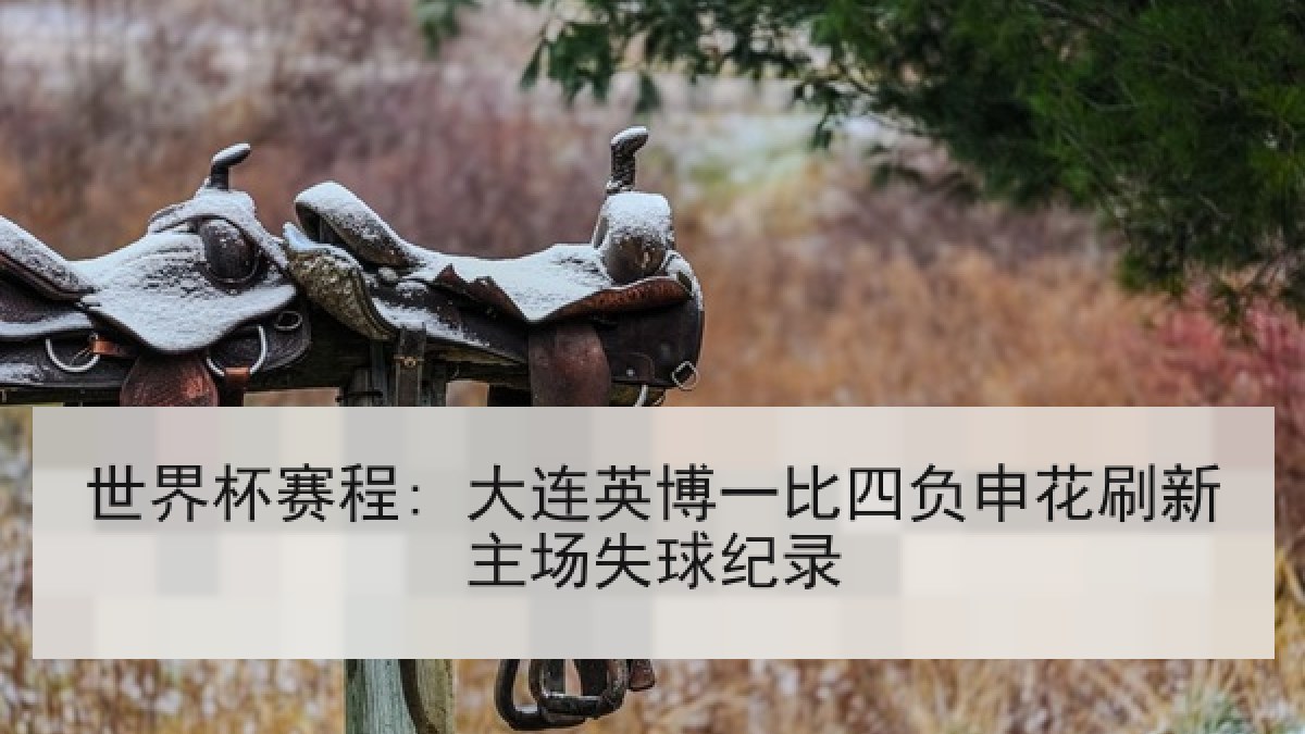 世界杯赛程: 大连英博一比四负申花刷新主场失球纪录