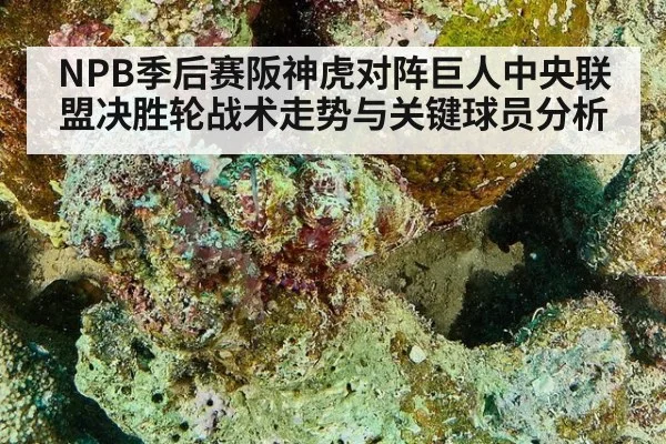 NPB季后赛阪神虎对阵巨人中央联盟决胜轮战术走势与关键球员分析