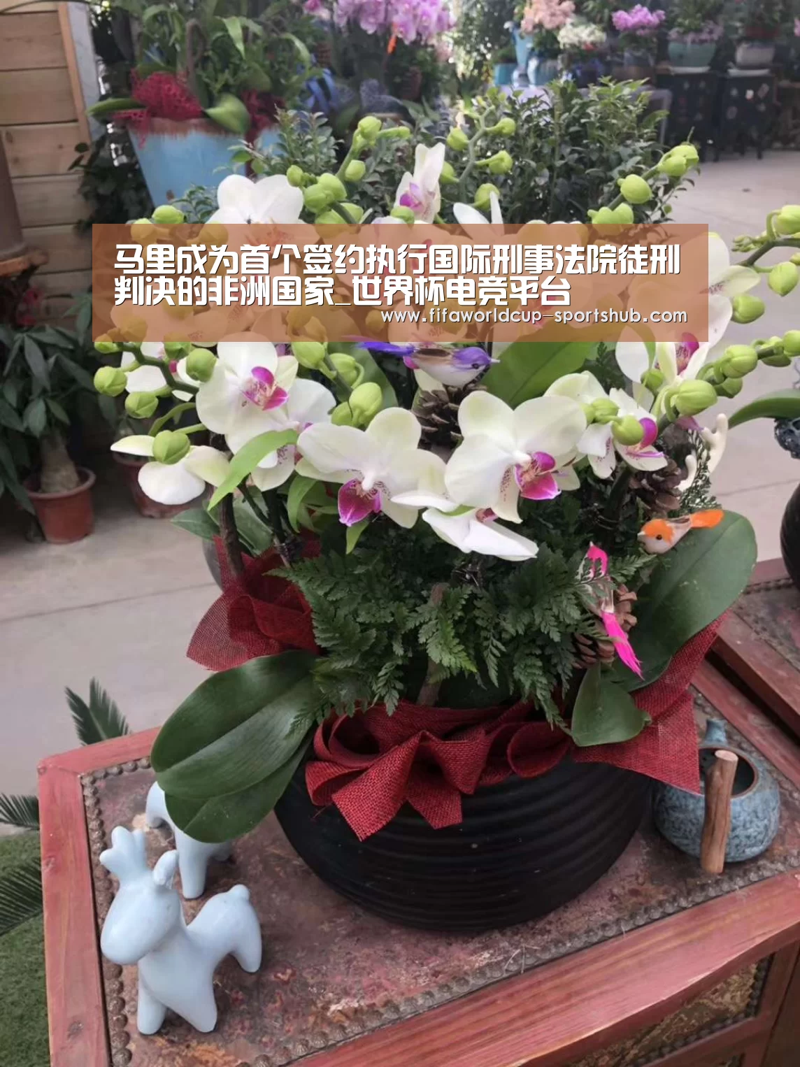 世界杯电竞平台