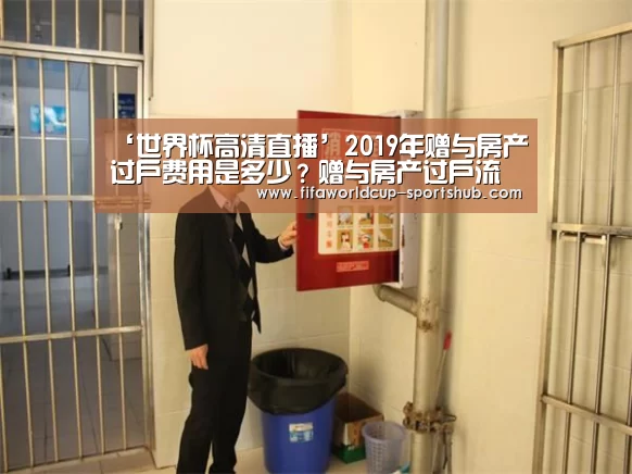 世界杯体育平台